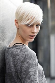 Short Chic Hairstyles Short Chic Hairstyles