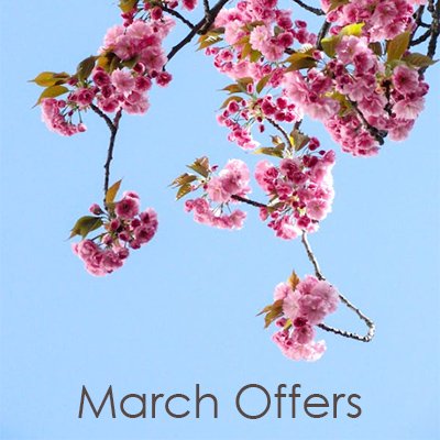 March Offers